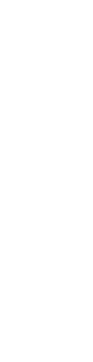 板前の技が冴える逸品の数々